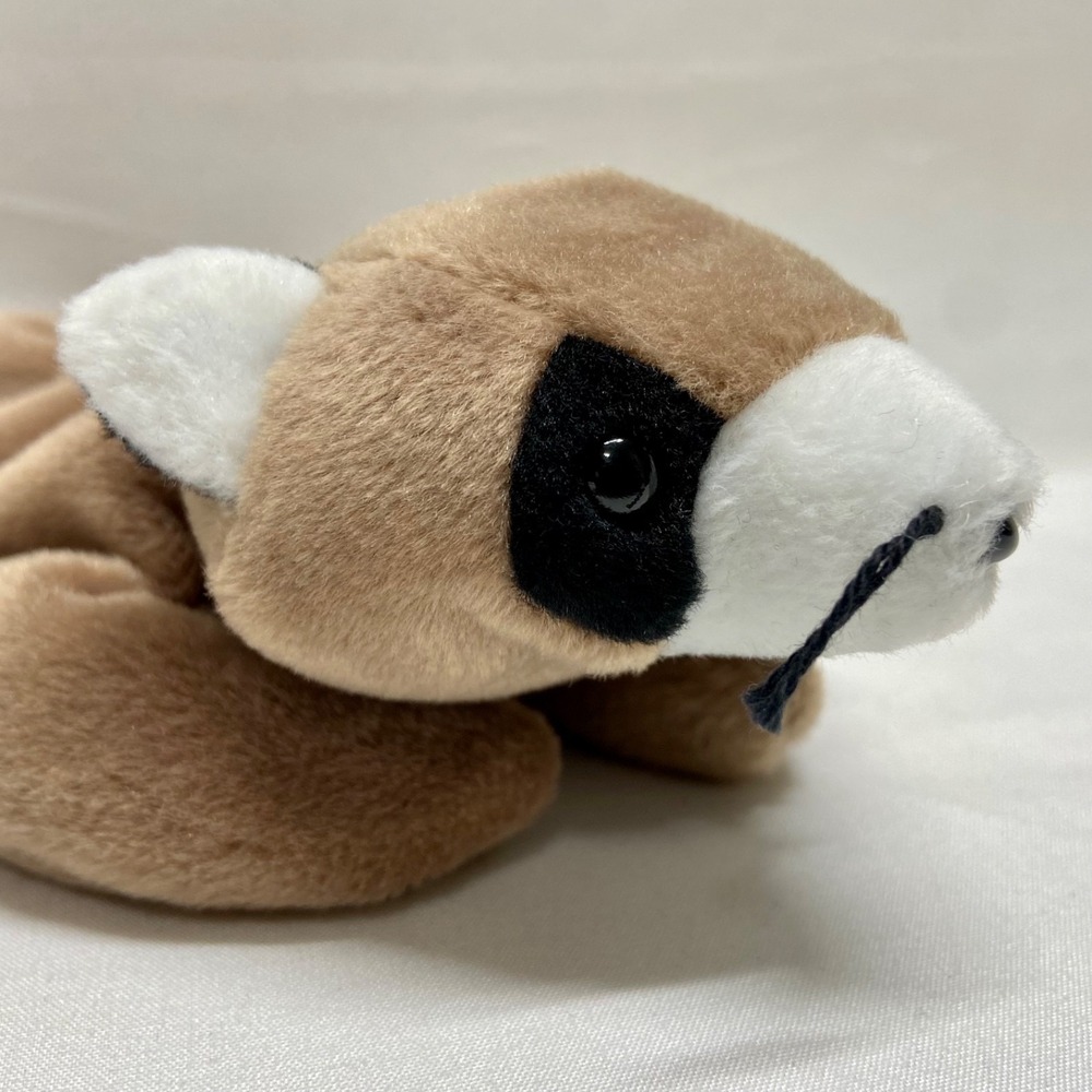 Vintage Ty Beanie Babies Ringo Baby Raccoon Retired 1995 Plush PVC Rare See Tags - Picture 6 of 16